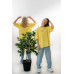 Футболка жіноча кулір преміум Oversize DA-TI inscription on the chest Yellow L/XL Футболка жіноча кулір преміум Oversize DA-TI inscription on the chest Yellow L/XL